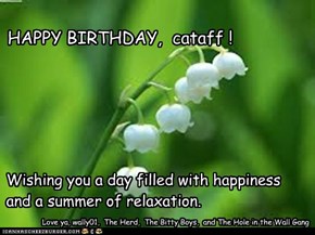 HAPPY BIRTHDAY,  cataff !