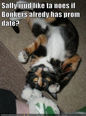 Sally wud like ta noes if Bonkers alredy has prom date?