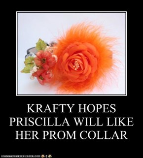 KRAFTY HOPES PRISCILLA WILL LIKE HER PROM COLLAR