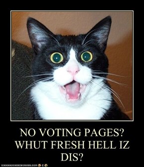 NO VOTING PAGES? WHUT FRESH HELL IZ DIS?