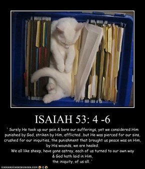 ISAIAH 53: 4 -6