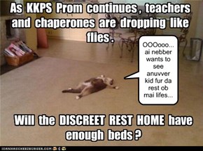 KKPS Prom is having its usual effect on adults!
