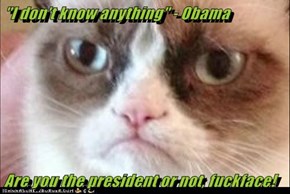 "I don't know anything" - Obama  Are you the president or not, fuckface!