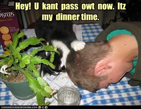 Hey!  U  kant  pass  owt  now.  Itz  my  dinner time.