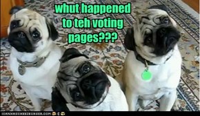 whut happened to teh voting pages???