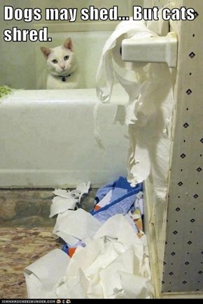 Dogs may shed... But cats shred.
