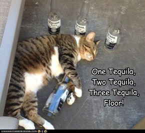 One Tequila, Two Tequila, Three Tequila, Floor!