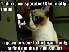 Teddi is exasperated! She finally found   a gown to wear to the prom...only to find out the prom is over!