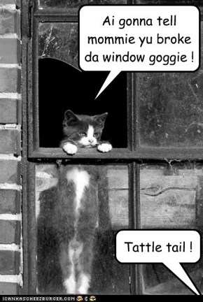 Ai gonna tell mommie yu broke da window goggie !