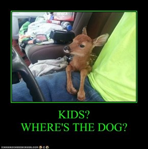 KIDS? WHERE'S THE DOG?