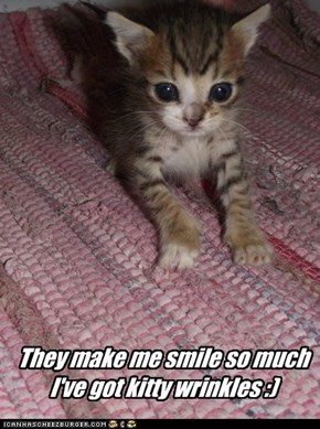 They make me smile so much I've got kitty wrinkles :)