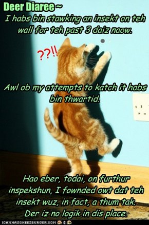 Kitteh Diarees