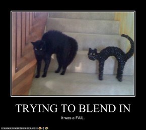 TRYING TO BLEND IN