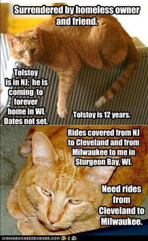 Tolstoy. Drivers / rides needed. Can anyone help or know someone?