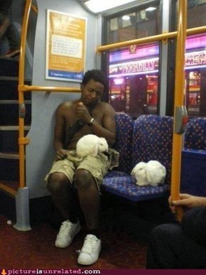 Bunny man!