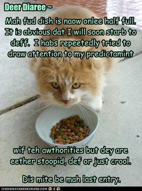 Kitteh Diarees