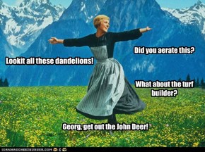 The Sound of Mowers