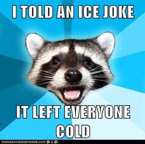 I TOLD AN ICE JOKE  IT LEFT EVERYONE COLD