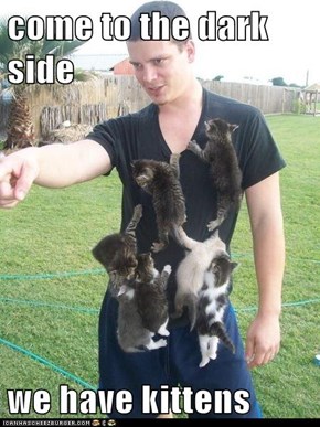 come to the dark side  we have kittens
