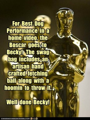 For  Best  Dog Performance  in  a  home  video,  the Boscar  goes  to  Becky!   The  swag bag  includes  an  artisan  hand  crafted  fetching ball  along  with  a hoomin  to  throw  it.  Well  done  Becky!