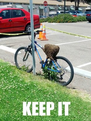 Not the Bees!