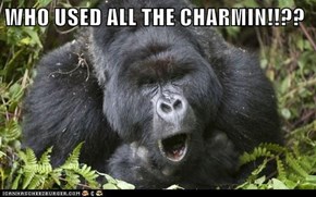 WHO USED ALL THE CHARMIN!!??