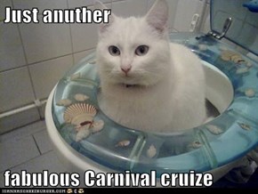 Just anuther  fabulous Carnival cruize
