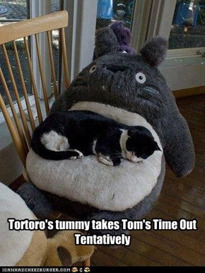 Tortoro's tummy takes Tom's Time Out Tentatively
