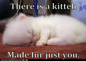There is a kitteh  Made fur just you.
