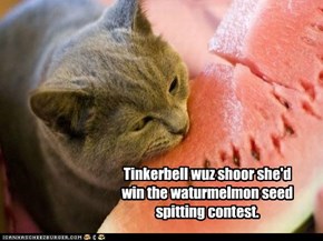 Moar Mayday Mayhem: watermelon edition.
