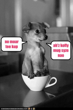 no moar tee kup