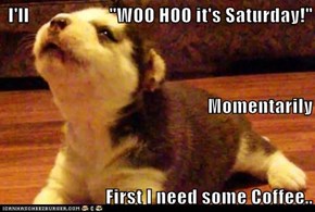 I'll                     "WOO HOO it's Saturday!"   Momentarily  First I need some Coffee..