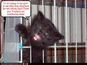 Thanks to Foofany, all teh St. Francis Shelter aminals will attend teh May Day festivities.. Priscilla Pringle, Krafty Katt, Tiny Tina (a former shelter kittie herself) and Manfred will chaperone and guide teh shelter aminals..