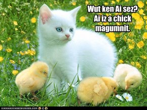 KKPS May Day interspecies mayhem