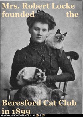Mrs. Robert Locke founded                the   Beresford Cat Club in 1899