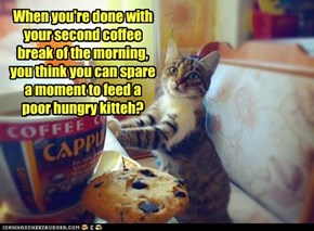 When you're done with your second coffee break of the morning, you think you can spare a moment to feed a poor hungry kitteh?