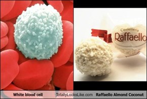 White blood cell Totally Looks Like Raffaello Almond Coconut