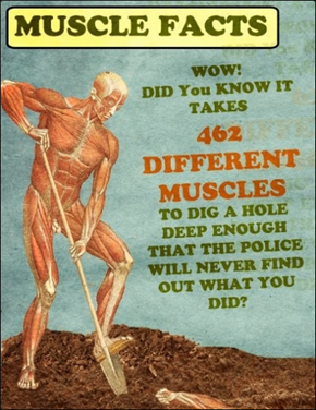 The Human Body Is Facinating