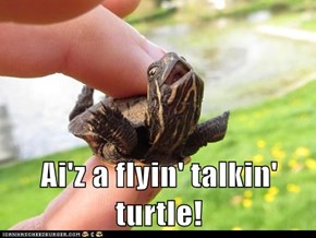Ai'z a flyin' talkin' turtle!