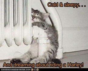 Harley Dreams