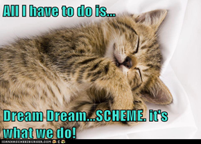 All I have to do is...  Dream Dream...SCHEME. it's what we do!