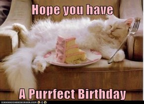 Hope you have  A Purrfect Birthday
