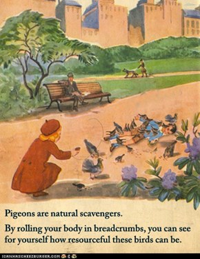 Pigeons Are Natural Scavengers
