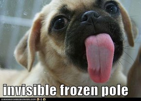 invisible frozen pole