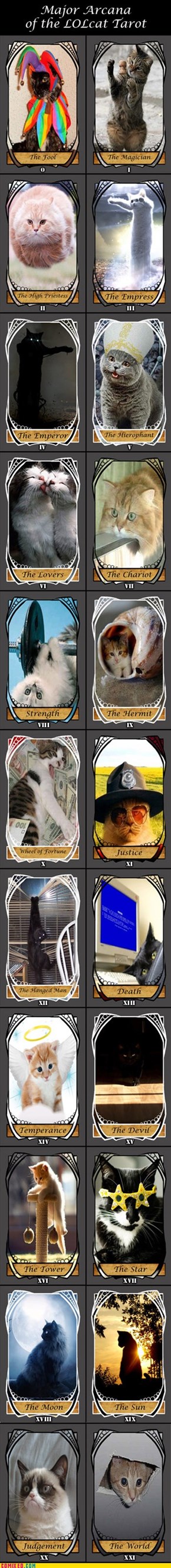 The LOLcat Tarot