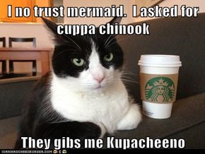 I no trust mermaid.  I asked for cuppa chinook  They gibs me Kupacheeno