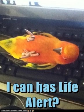 I can has Life Alert?
