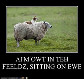 AI'M OWT IN TEH FEELDZ, SITTING ON EWE