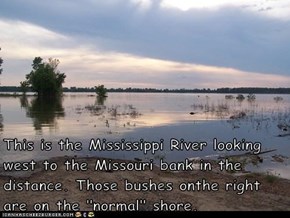 This is the Mississippi River looking west to the Missouri bank in the distance. Those bushes onthe right are on the "normal" shore.