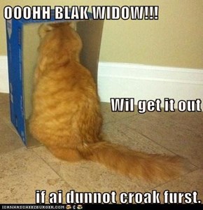 OOOHH BLAK WIDOW!!! Wil get it out if ai dunnot croak furst.